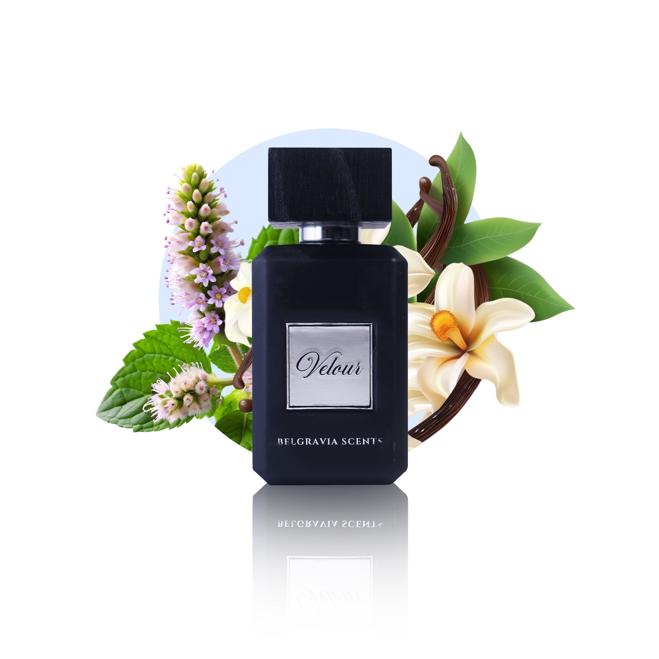 Velour 100ML
